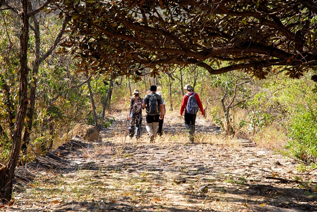 Parque Estadual do Rio Doce lança guia de trilhas para fortalecer turismo de natureza