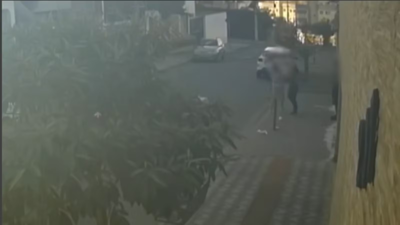 Estudante de medicina veterinária denuncia agressão de policial penal em Sabará, MG