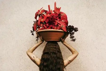 Anitta lança “EQUILIBRIVM II” nesta quinta-feira; saiba onde assistir