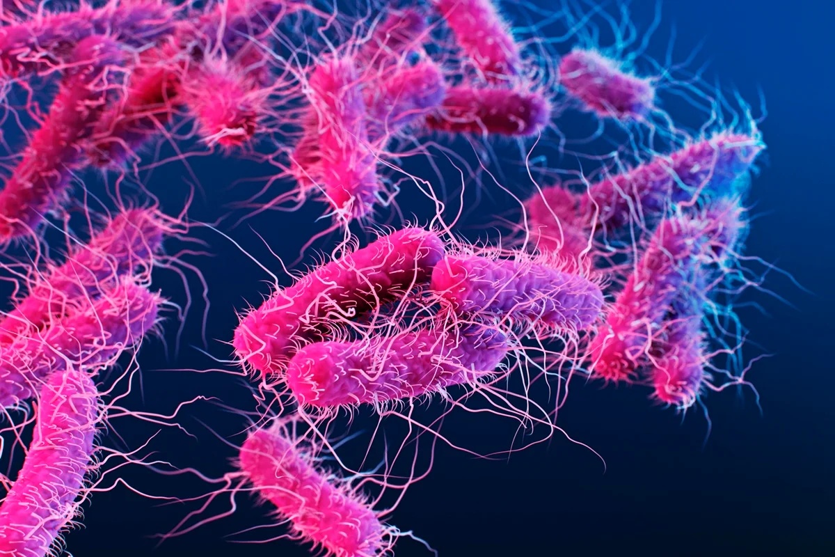 USP cria teste inédito para identificar superbacterias em 6 horas