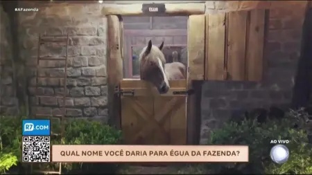 Adriane Galisteu abre votação para definir nome de nova égua em A Fazenda 18
