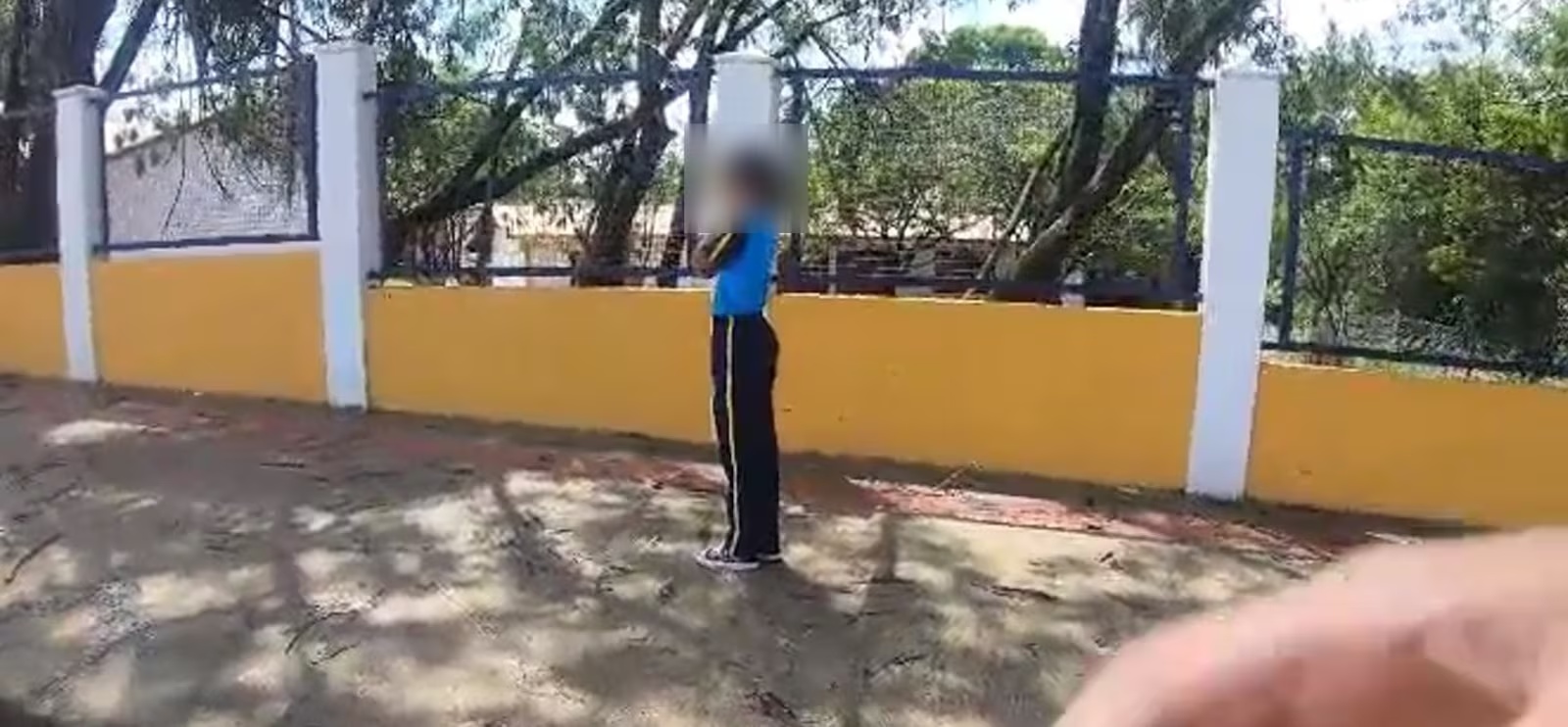 Menina de 12 anos fica em estado grave após ataque de abelhas em frente a escola na Região Metropolitana de Belo Horizonte