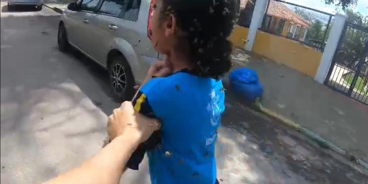 Estudante de 12 anos é atacada por abelhas na porta de escola na região metropolitana de Belo Horizonte