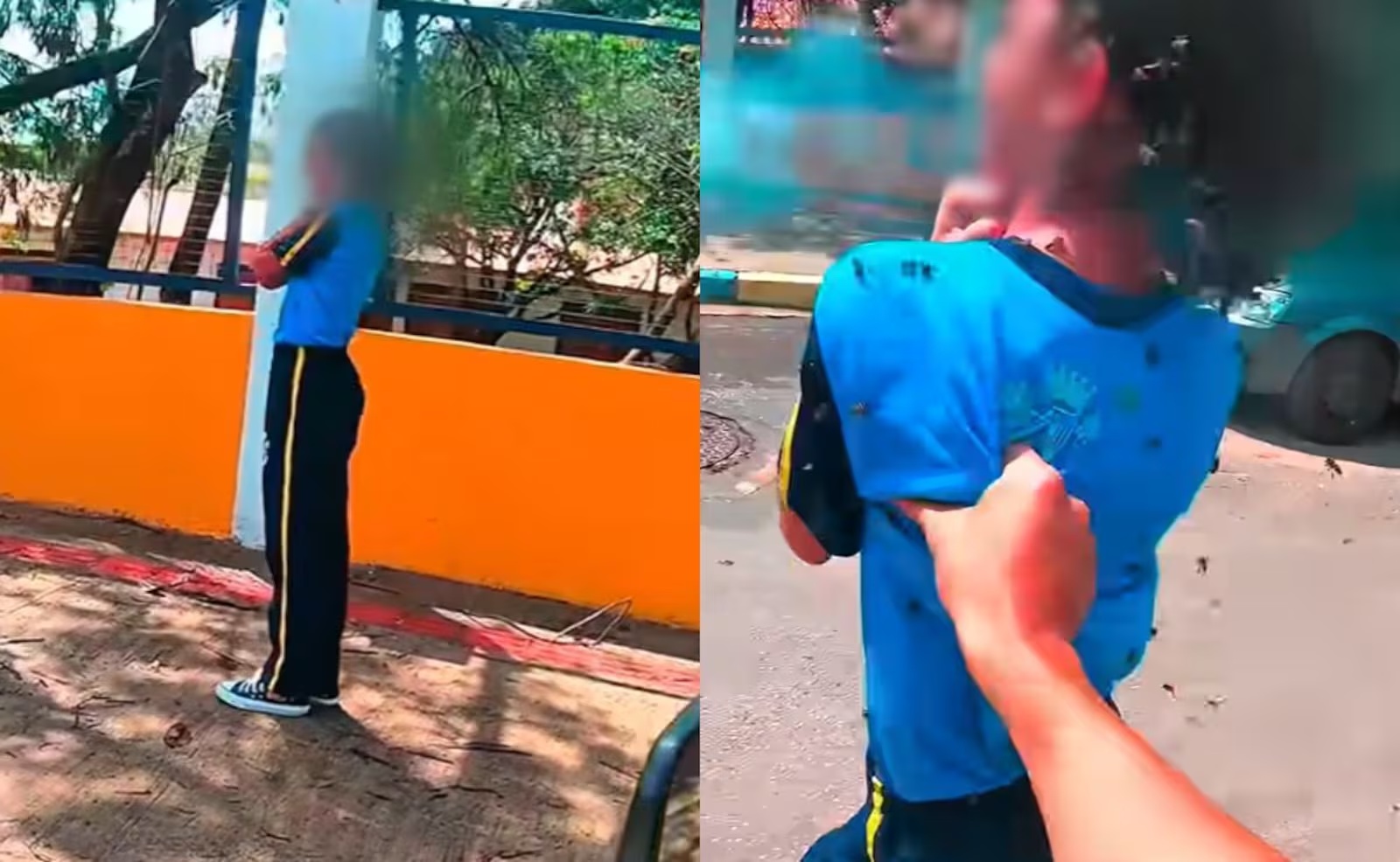 Menina de 12 anos que sofreu ataque de abelhas em Ibirité pode receber alta hospitalar neste fim de semana