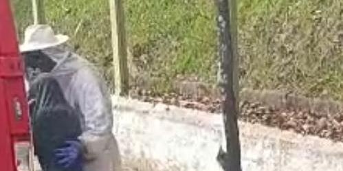 Idoso é socorrido em estado grave após ataque de abelhas no Sul de Minas