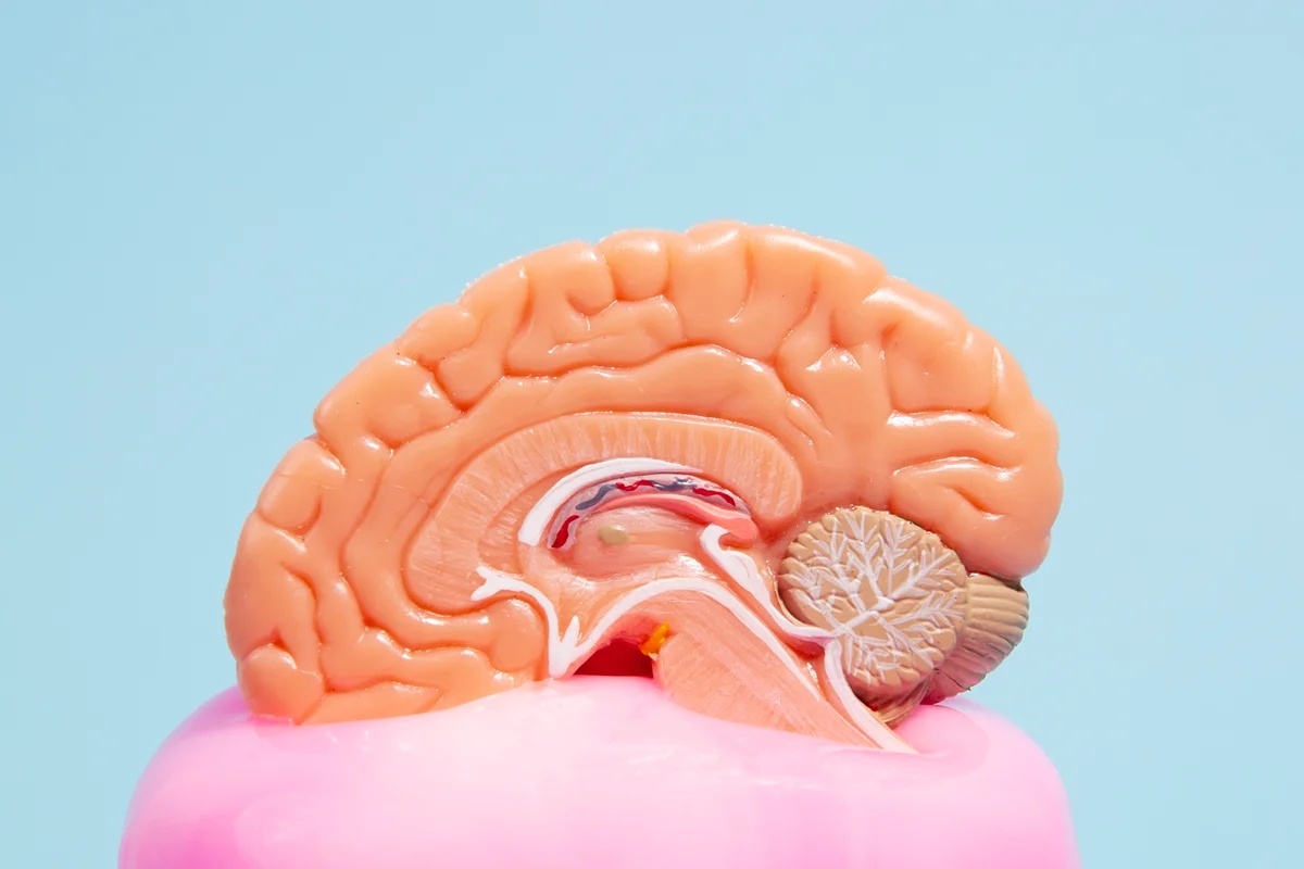 Estimulação cognitiva pode ajudar a retardar o declínio em pacientes com Alzheimer