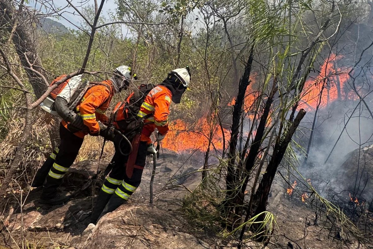 Incêndio causado por raio atinge área de difícil acesso na Chapada dos Veadeiros e provoca avanço fora do parque
