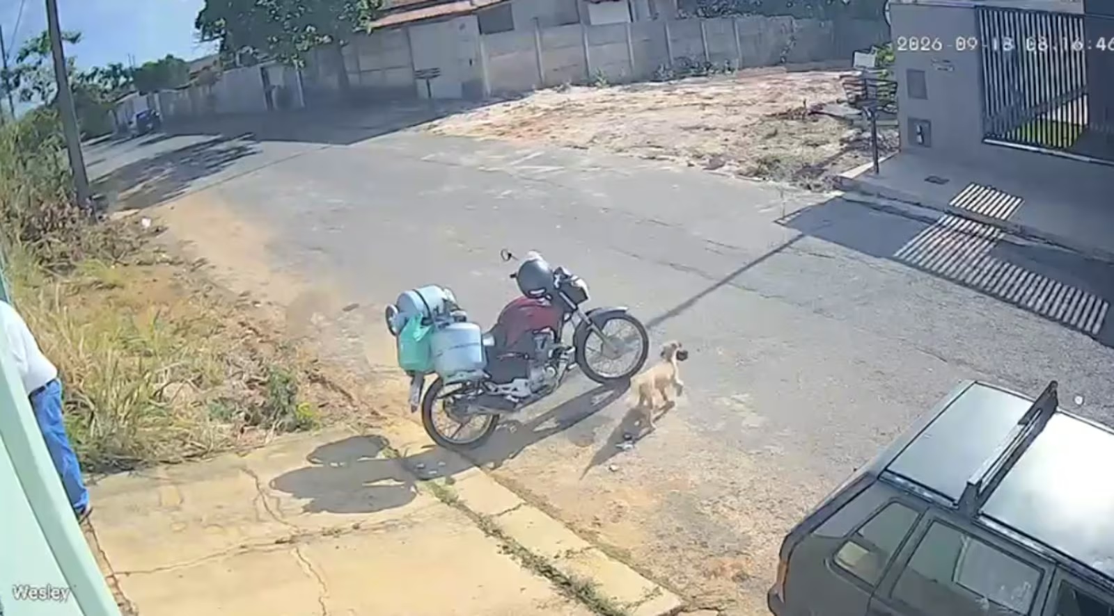 Cachorro captura bolsa de entregador de gás durante entrega em Minas Gerais