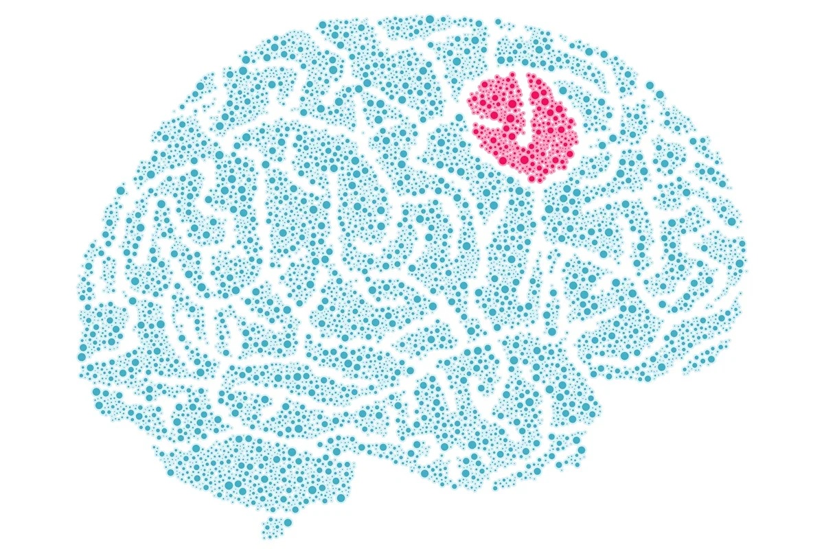 Novo teste genômico reduz em horas o tempo de diagnóstico de tumores cerebrais