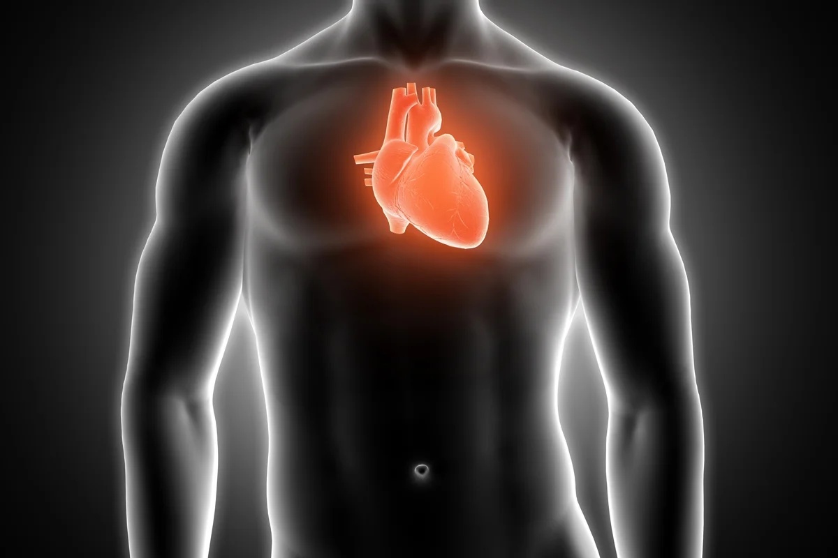 Alterações nos horários das refeições aos finais de semana aumentam risco cardiovascular em homens, aponta estudo