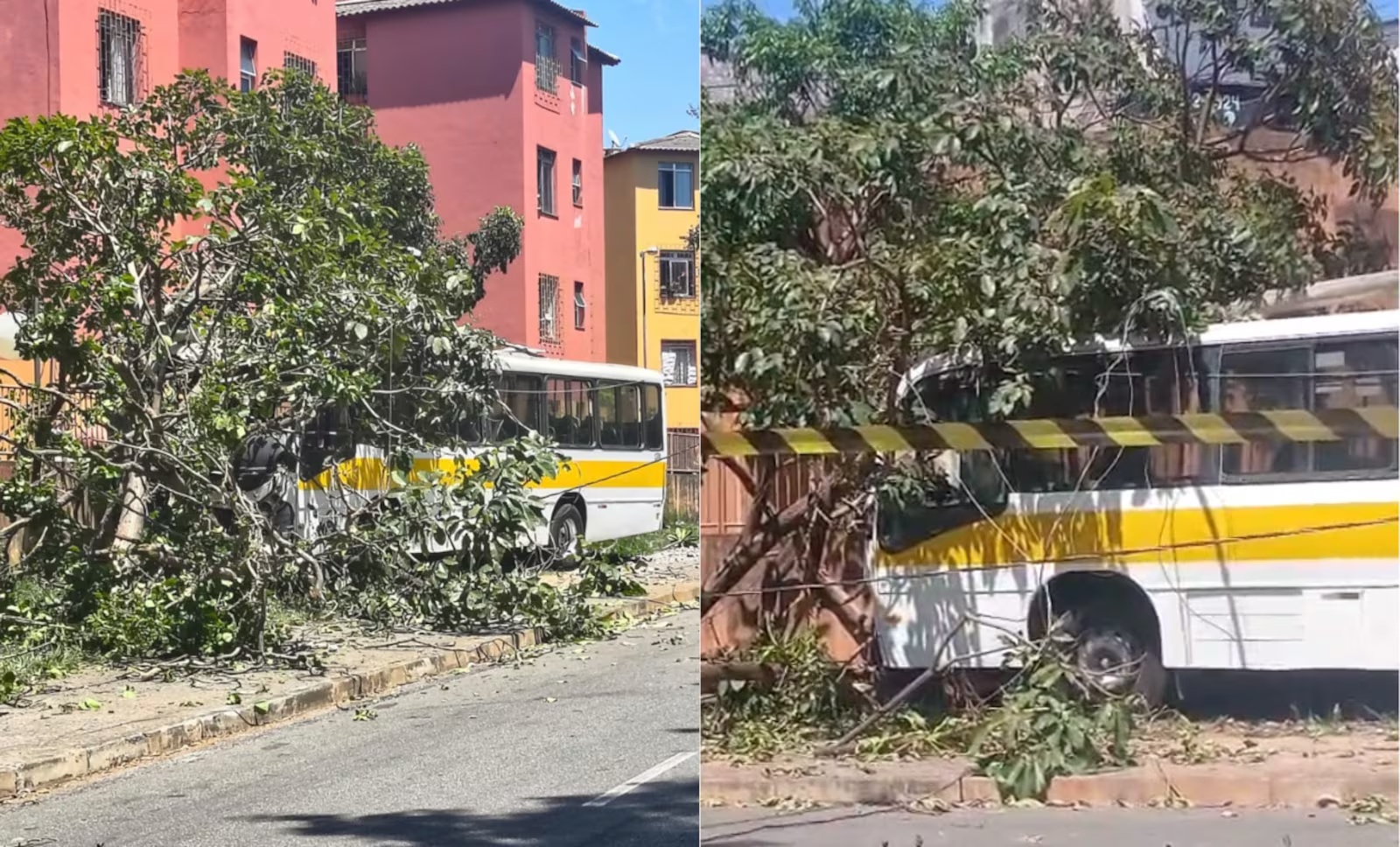 Quatro feridos em acidente com ônibus escolar que perdeu freio em Belo Horizonte