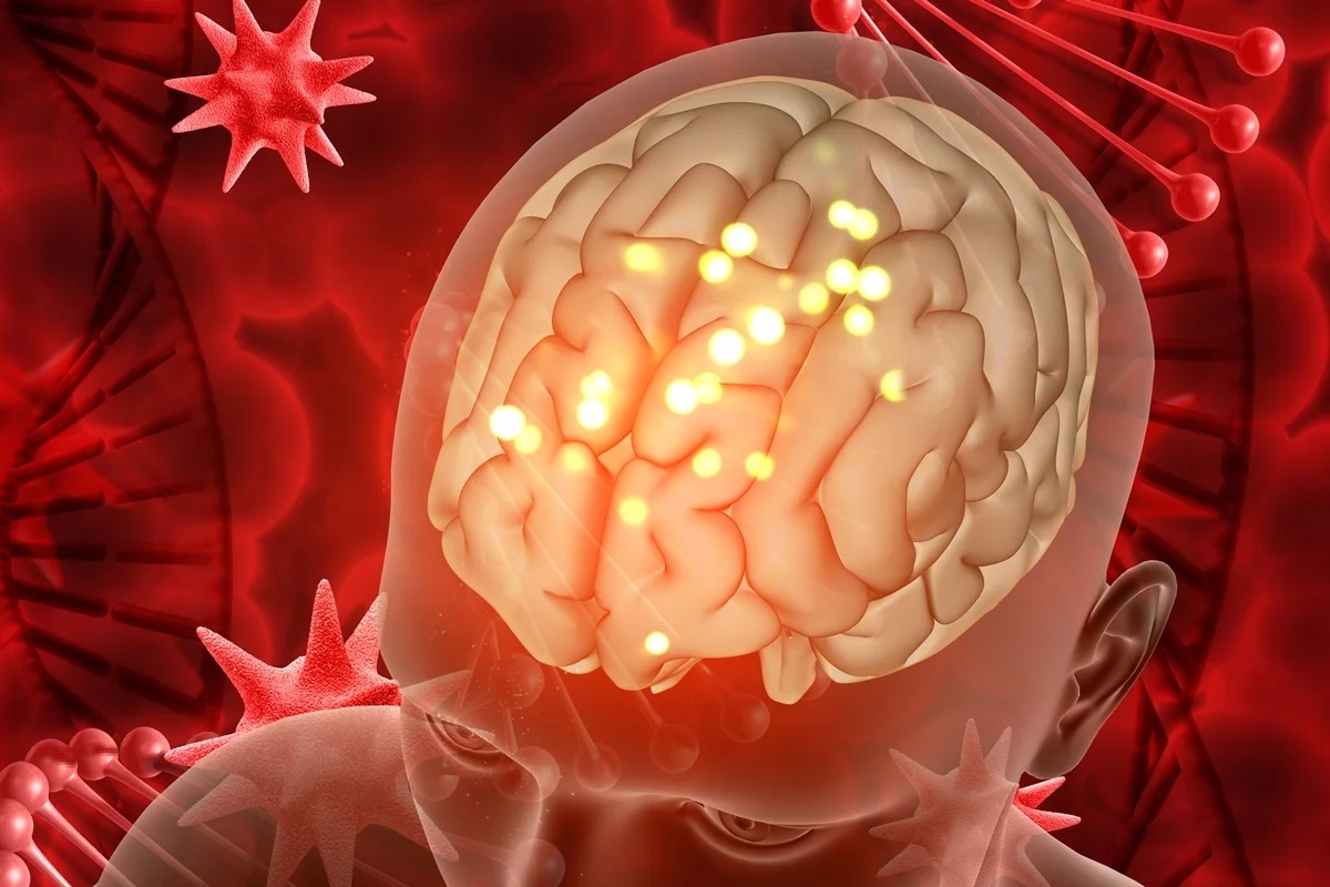 Estudo revela como o crescimento de glioblastoma altera o ambiente cerebral e provoca mudanças na circulação sanguínea