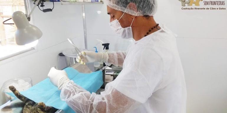 Belo Horizonte inicia mutirão de castração gratuita de cães e gatos nas regionais Norte, Centro-Sul e Nordeste