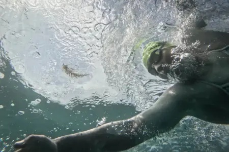 Comitê Olímpico do Brasil divulga lista de atletas para os Jogos Sul-Americanos de Santa Fé 2026