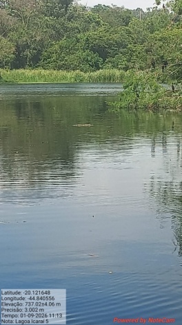 Prefeitura de Divinópolis realiza vistoria ambiental em lagoa do bairro Icaraí após morte de peixes