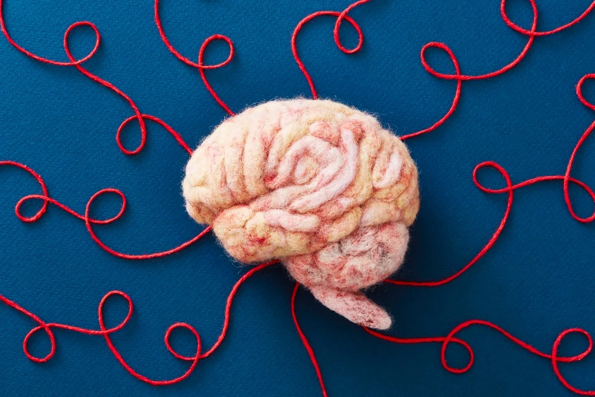 Simpósio em Brasília aborda neurodiversidade com foco em cuidado individualizado