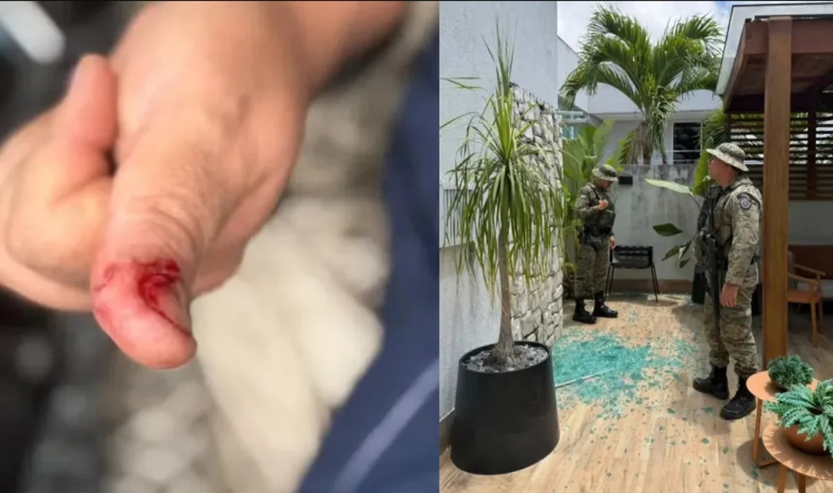 Macaco de ex-deputado foge, invade residências e causa ferimentos em condomínio na Bahia