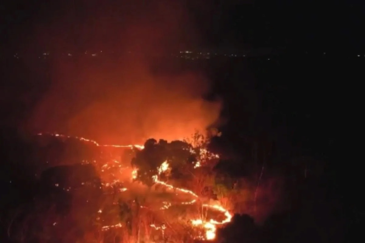 Incêndio em área da Embrapa em Teresina mobiliza Corpo de Bombeiros e Exército
