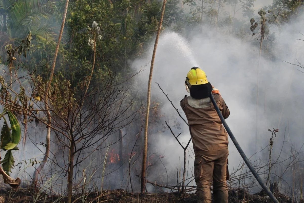 Governo do Amazonas envia alertas pelo WhatsApp sobre riscos de incêndios e saúde em meio às queimadas
