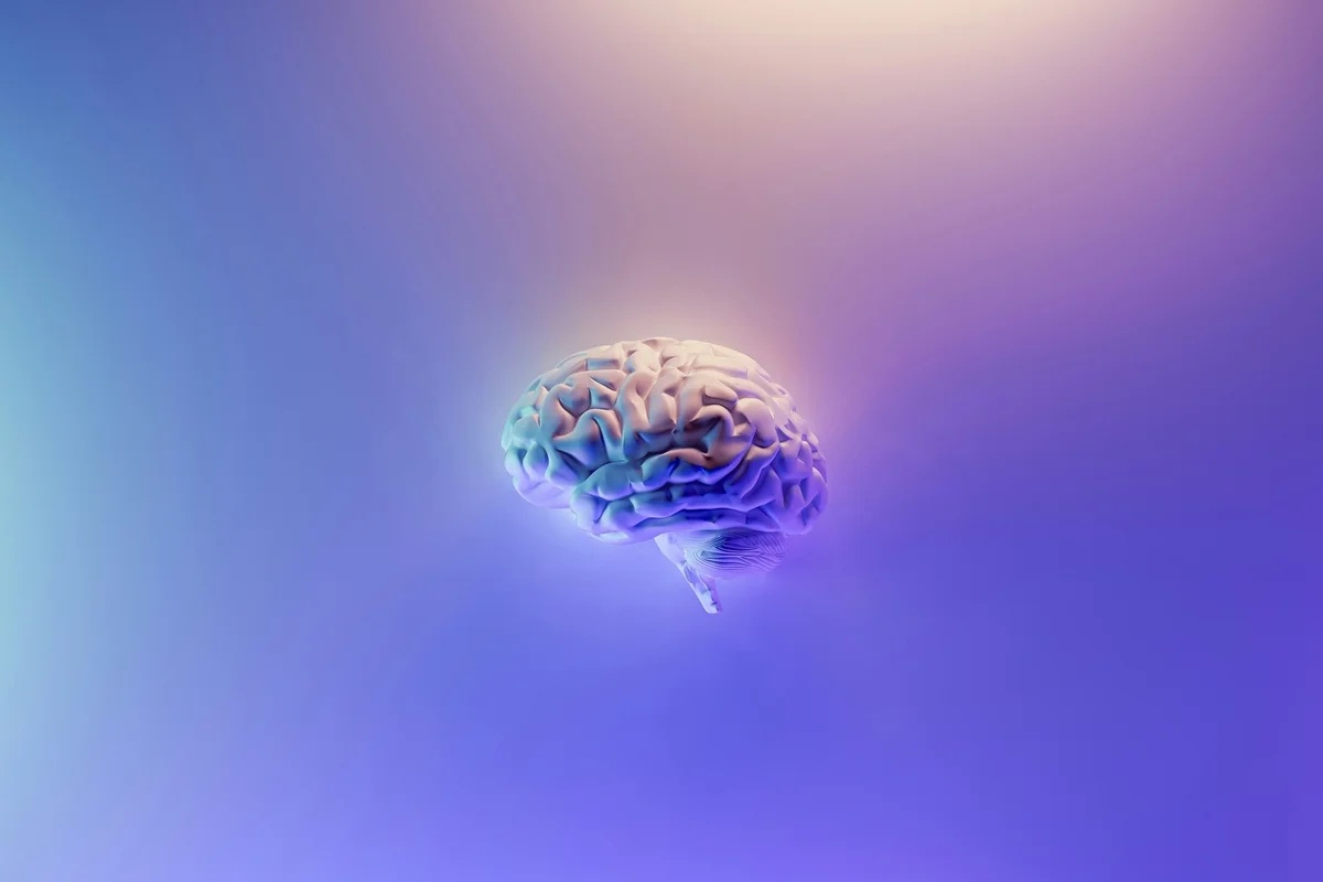 Cientistas conectam três organoides cerebrais humanos e observam resposta a estímulos em experimento de aprendizado