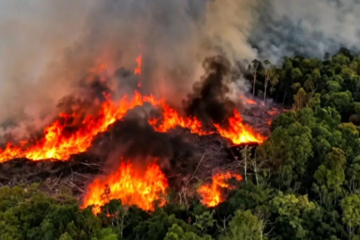 Governo federal amplia operações aéreas e reforça equipes de segurança no combate aos incêndios na Amazônia