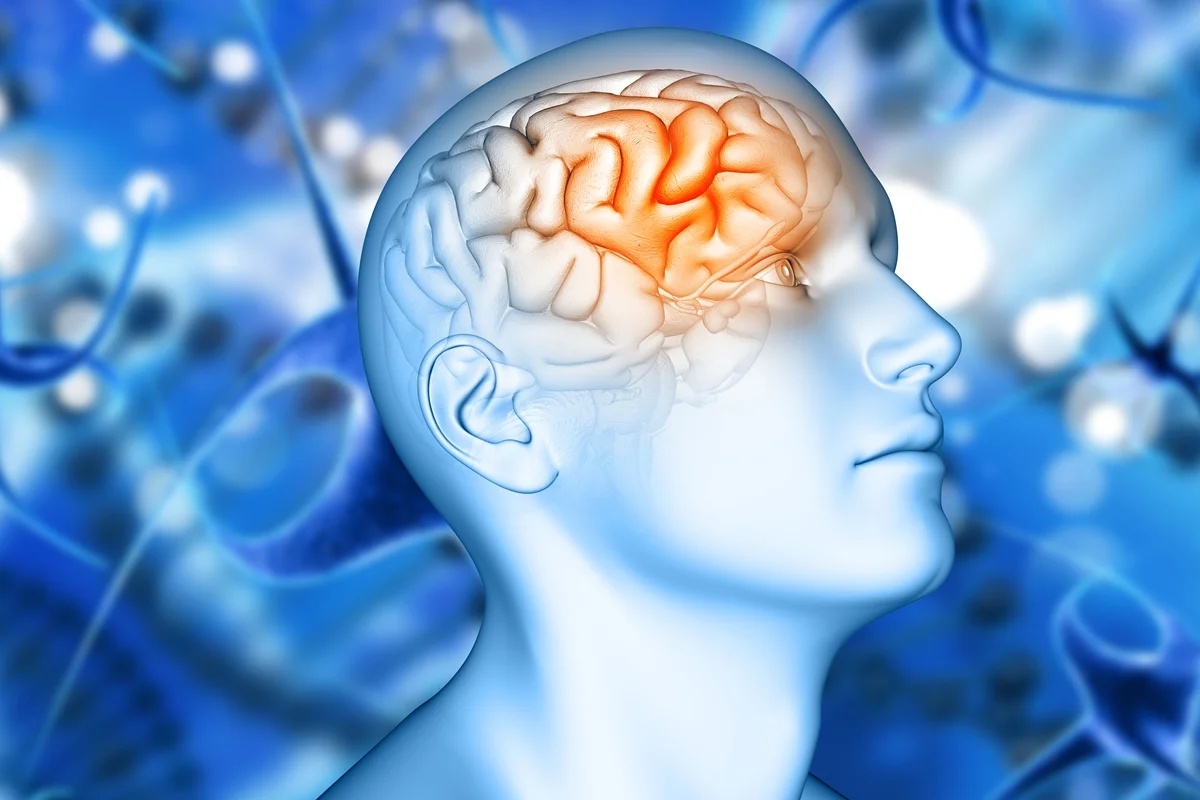 Estudo identifica variação genética relacionada ao aumento do risco de Alzheimer