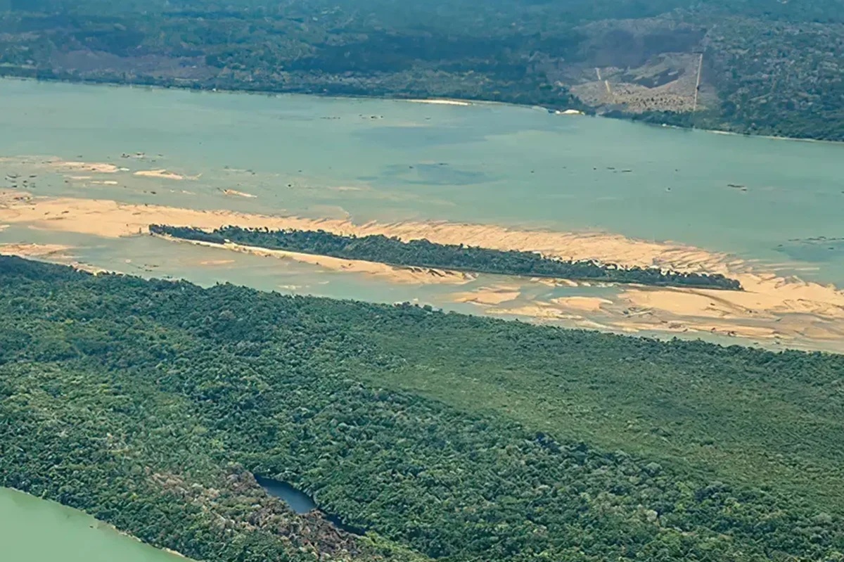 Criança de 8 anos é vítima de ataque de onça na Terra Indígena Munduruku, no Pará