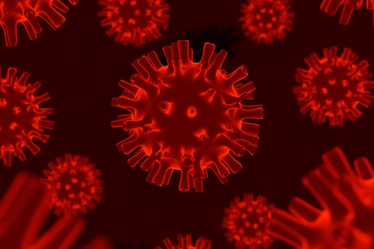 França registra o primeiro caso de infecção humana pelo vírus Shamonda, até então exclusivo de animais